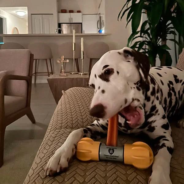 Dog Chew Holder | Safe Hands-Free Chewing for All Breeds