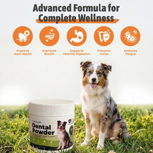 Dog Dental Powder — jar of natural dental powder for dogs