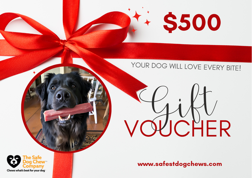 Gift Voucher – The Perfect Choice for Any Occasion!
