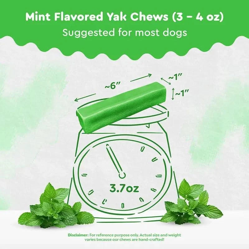 MINT CHEW - The Safe Dog Chew Company