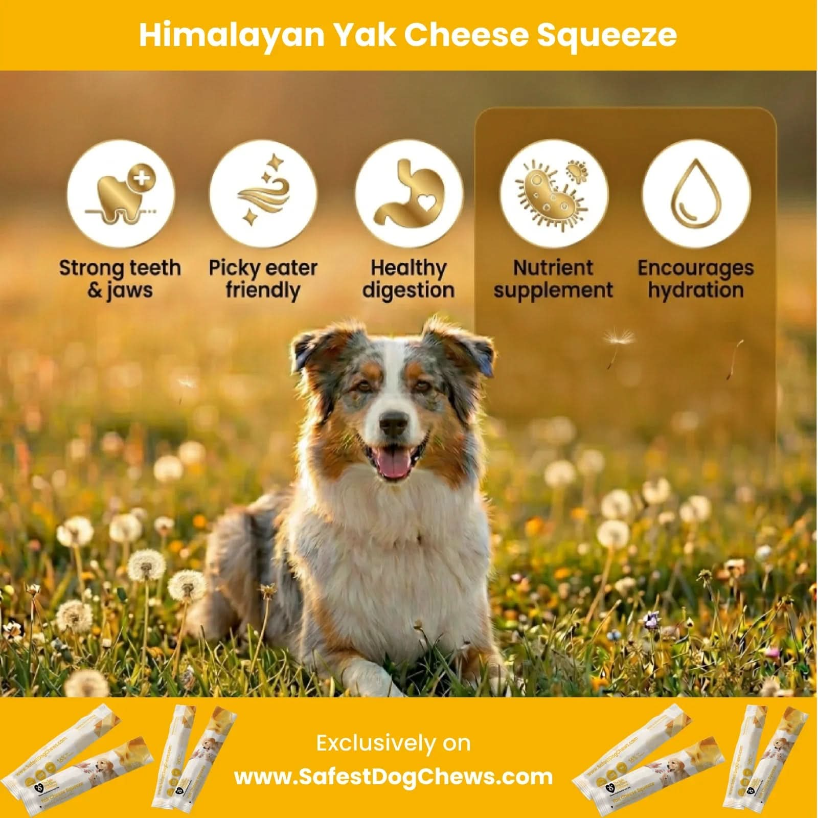 Yak Cheese Squeeze for Dogs | Natural Training Treat & Meal Topper