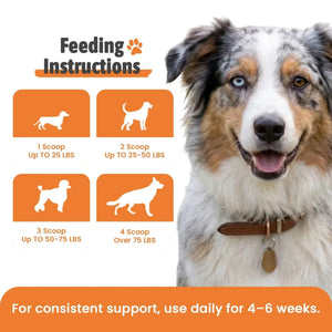 Dog Dental Powder — ingredients and benefits, all-natural dental health supplement
