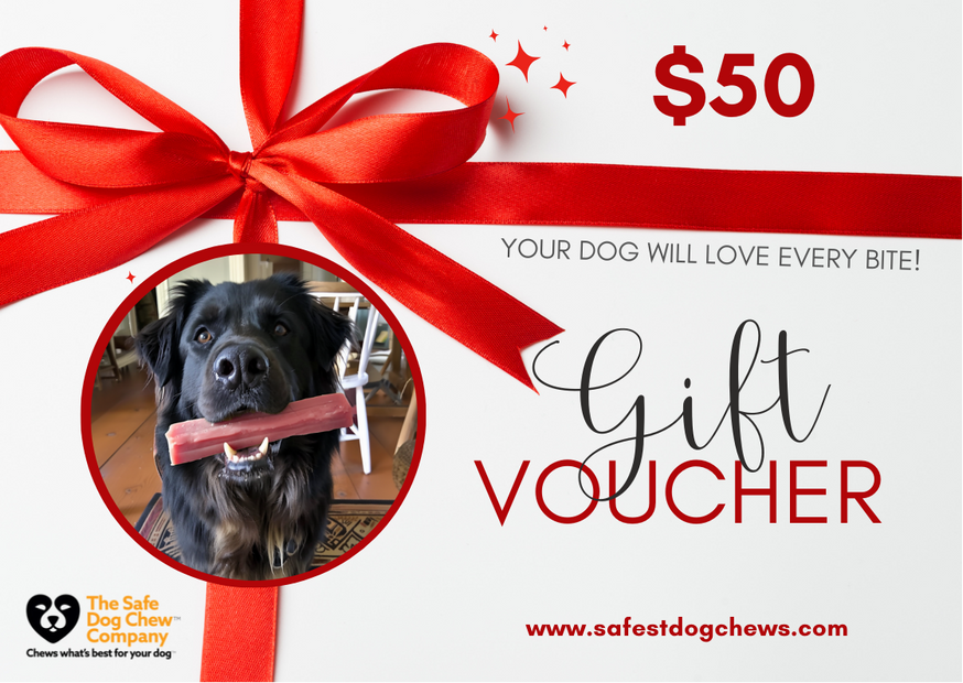 Gift Voucher – The Perfect Choice for Any Occasion!
