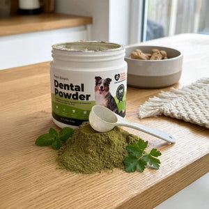 Dog Dental Powder — sprinkle on food, kills bacteria and freshens breath naturally