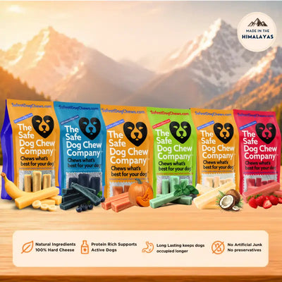 Himalayan Yak Chews — 6 Flavor Variety Pack | Find Your Dog's Favorite