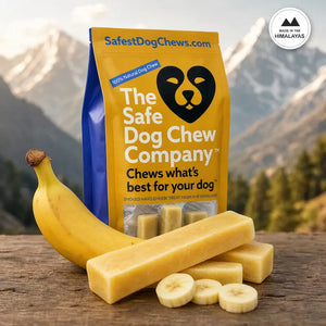 Banana Himalayan Yak Chew — rich in vitamins, potassium and energy | Safe Dog Co