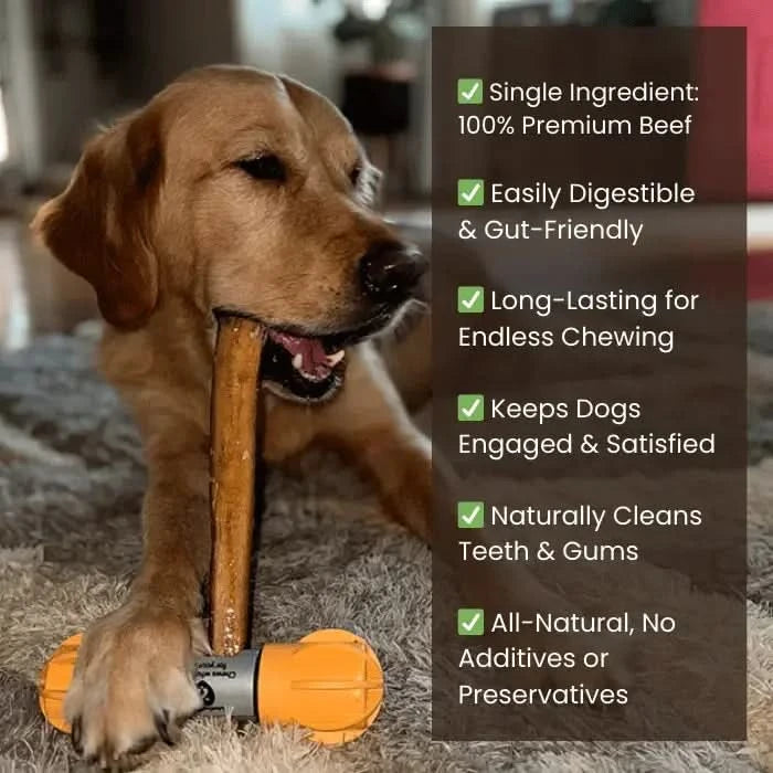 Monster Bully Sticks 12-Inch | Extra-Thick, Odor-Free Dog Chew