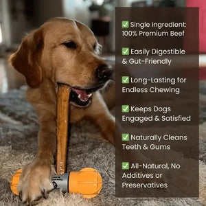 Bully Sticks benefits — single ingredient beef, easily digestible, long-lasting, cleans teeth naturally, no additives