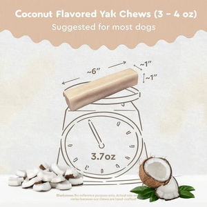 Coconut Yak Chew benefits — rich in healthy fats, supports skin and coat, natural energy