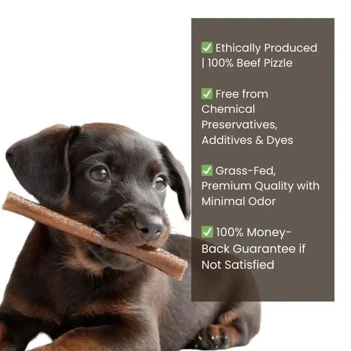 Beef Collagen Sticks 6-Inch | Joint Support & Dental Health Dog Chew