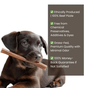 Beef Collagen Sticks benefits — ethically produced, grass-fed, no preservatives, supports joints and dental health