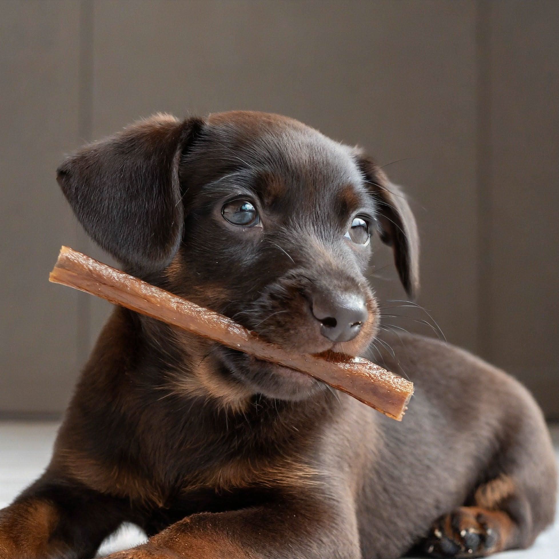 6-INCH BEEF COLLAGEN STICKS - The Safe Dog Chew Company