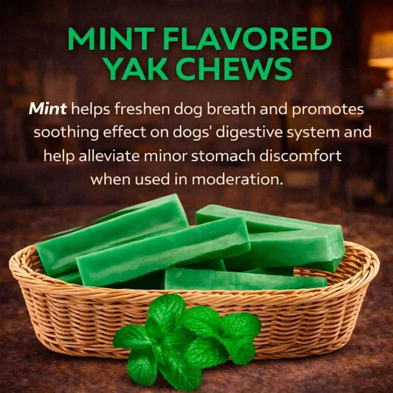 Himalayan Yak Chews โ 6 Flavor Pack | Long-Lasting Natural Dog Chews