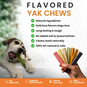 Himalayan Yak Chews all flavors — natural long-lasting dog chews | Safe Dog Co