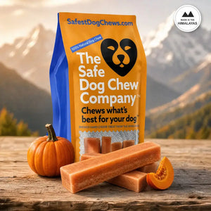 Pumpkin Himalayan Yak Chew — fiber-rich, supports digestion naturally | Safe Dog Co