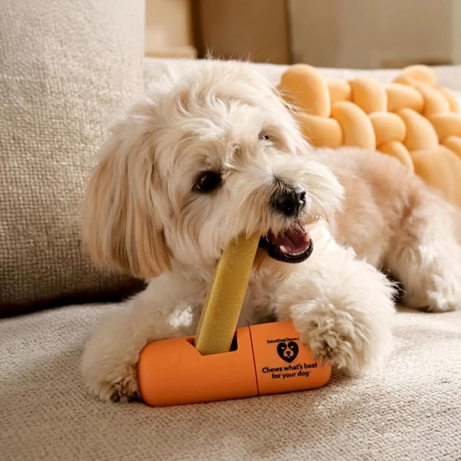Dog Chew Holder | Safe Hands-Free Chewing for All Breeds