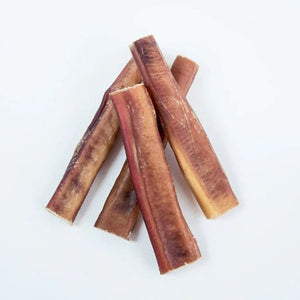 Monster Bully Sticks 6-Inch — dog enjoying extra-thick natural bully stick