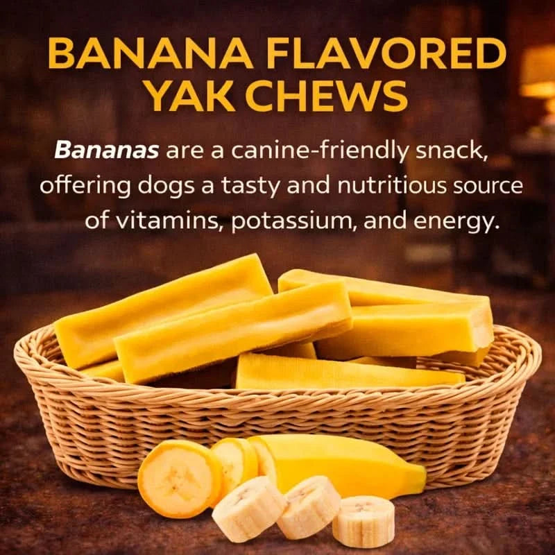 Himalayan Yak Chews โ 6 Flavor Pack | Long-Lasting Natural Dog Chews