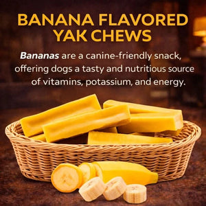 Banana Yak Chew benefits — vitamins, potassium and natural energy for active dogs