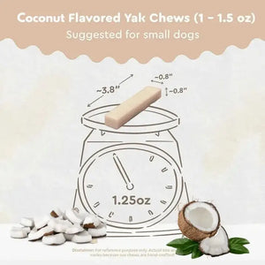 Coconut Himalayan Yak Chew small size — perfect for dogs under 25 lbs