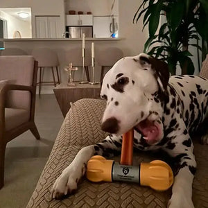 Dog happily chewing a Himalayan Yak Chew — long-lasting natural dog chew | Safe Dog Co