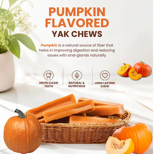 Pumpkin Himalayan Yak Chew — fiber-rich, supports digestion naturally