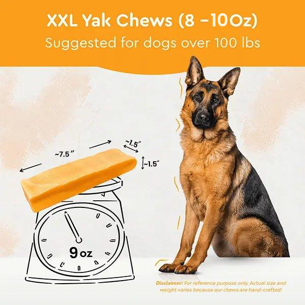 Regular/Unflavored Himalayan Yak Chews | 6-Sizes (for Small to Big Dogs)