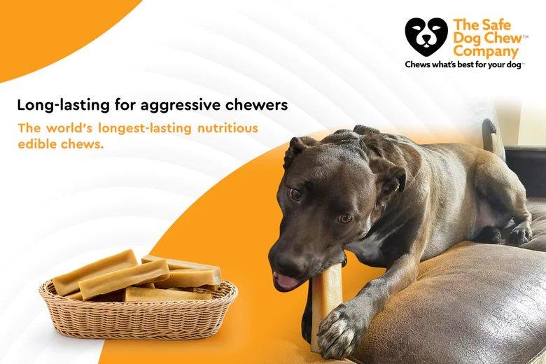 HIMALAYAN YAK CHEWS | ALL SIZES - The Safe Dog Chew Company