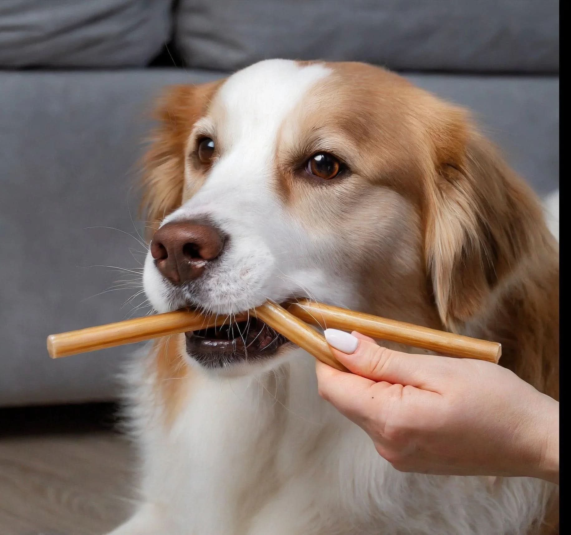 6-INCH BEEF COLLAGEN STICKS - The Safe Dog Chew Company