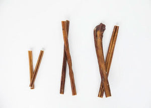 Bully Sticks 6-Inch Standard — dog happily chewing natural bully stick | Safe Dog Co