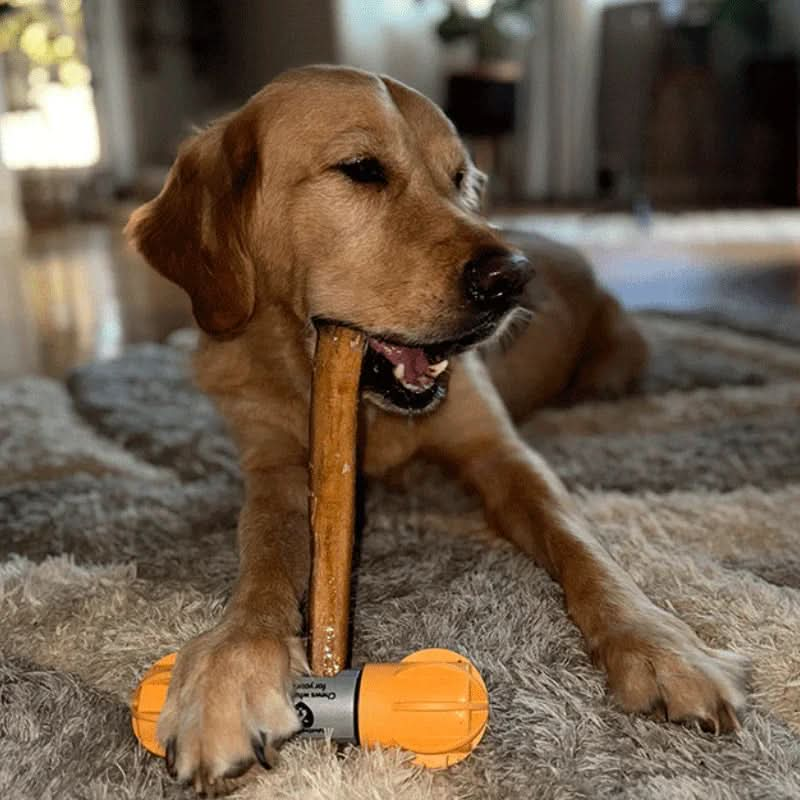 The Best Yak Chews for Dogs: A Complete Guide