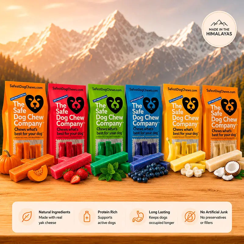 Best Dog Chews for Traveling With Dogs