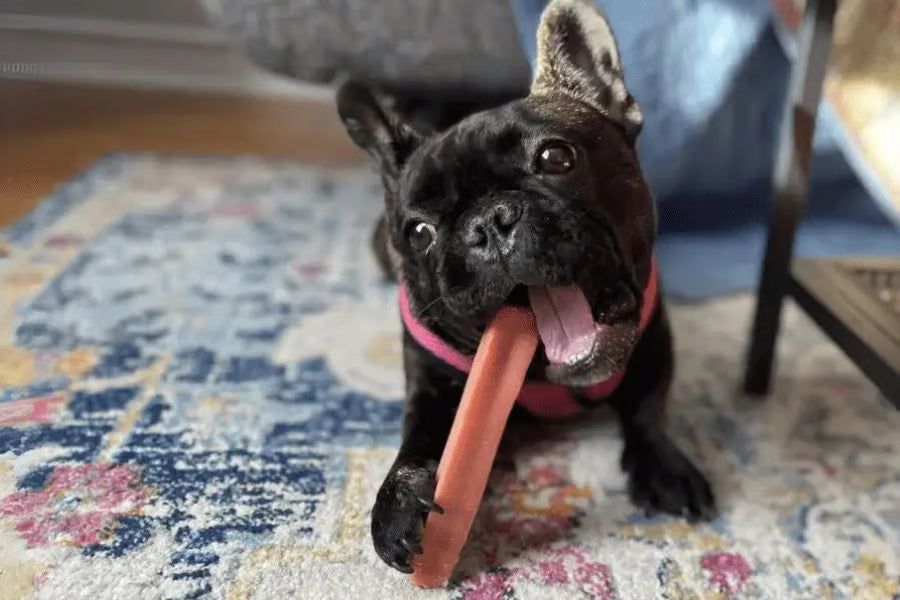 The Best Chews for Small Dogs