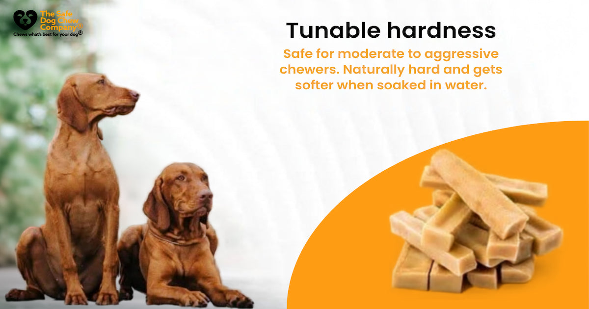 The Best Senior Dog Chews for Aging Teeth