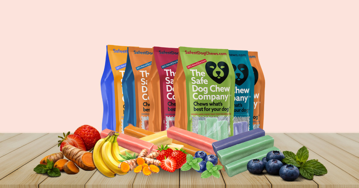 Essential Pet Travel Checklist for Dogs