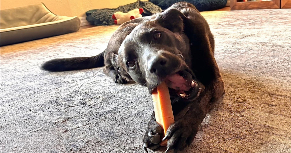 Yak Bones for Dogs: A Safer Chew Alternative