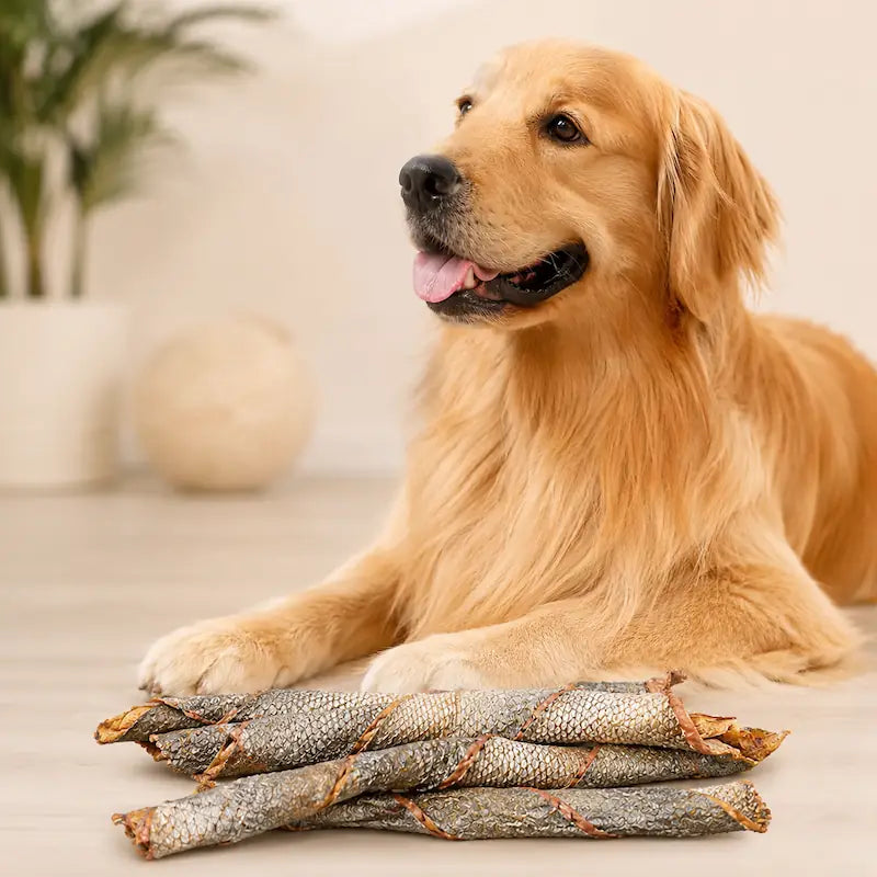 Summer Dog Chew Safety: Keep Pets Cool