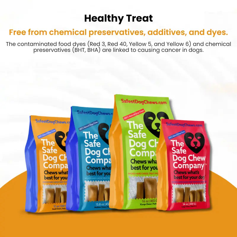 Top 10 Long Lasting Chews for Dogs