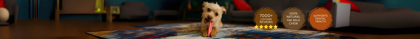 Yak Chews