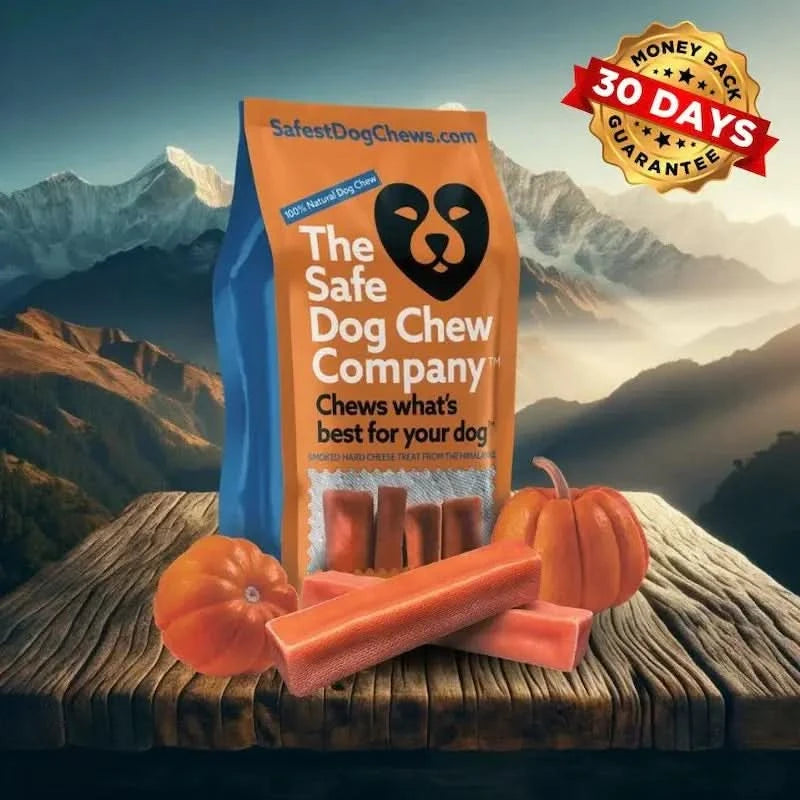 Pumpkin Himalayan Yak Chews | Long-Lasting Natural Dog Chew