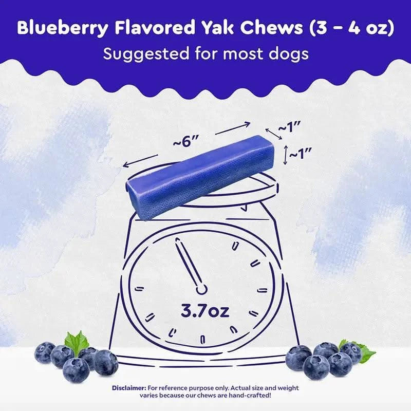 BLUEBERRY CHEW - The Safe Dog Chew Company