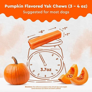 PUMPKIN CHEW - The Safe Dog Chew Company