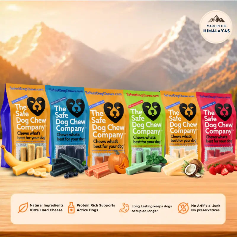 Himalayan Yak Chews — 6 Flavor Variety Pack | Find Your Dog's Favorite