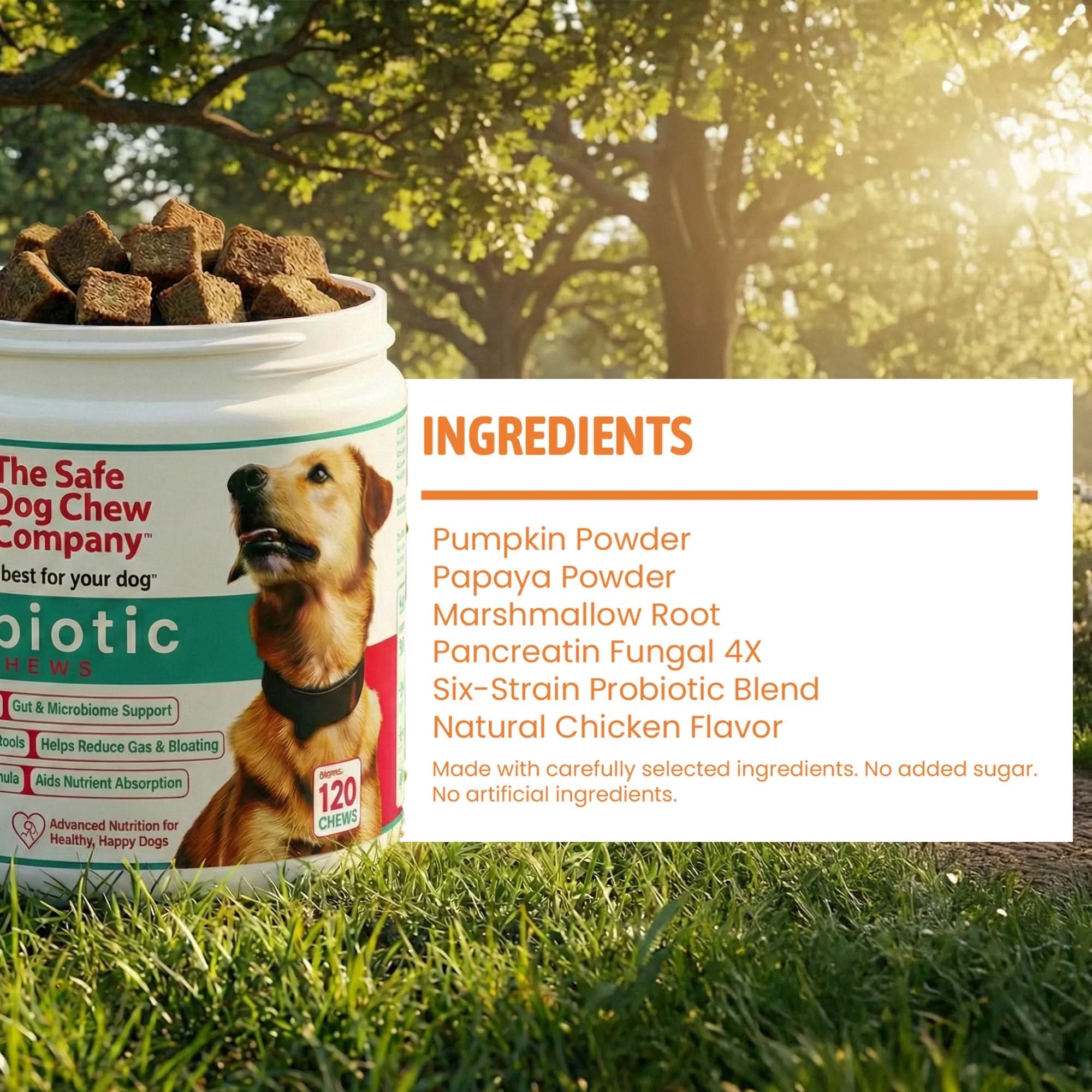 Probiotic Soft Chews for Dogs | Daily Gut Health & Digestive Support