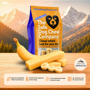 Banana Himalayan Yak Chew — rich in vitamins, potassium and energy | Safe Dog Co