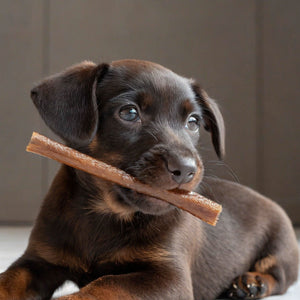 6-INCH BEEF COLLAGEN STICKS - The Safe Dog Chew Company