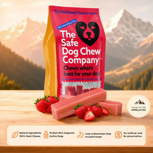 Strawberry Himalayan Yak Chew — vitamin C, fiber and teeth whitening | Safe Dog Co