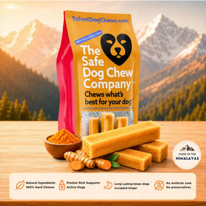 Turmeric Himalayan Yak Chew — natural anti-inflammatory, supports joints and arthritis | Safe Dog Co