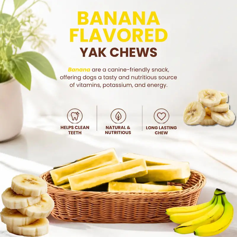 Himalayan Yak Chews 4-Pack | 4 Flavors Dogs Love | Safe Dog Co – The ...