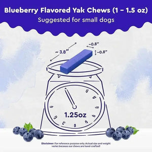 Blueberry Himalayan Yak Chew small size — perfect for dogs under 25 lbs